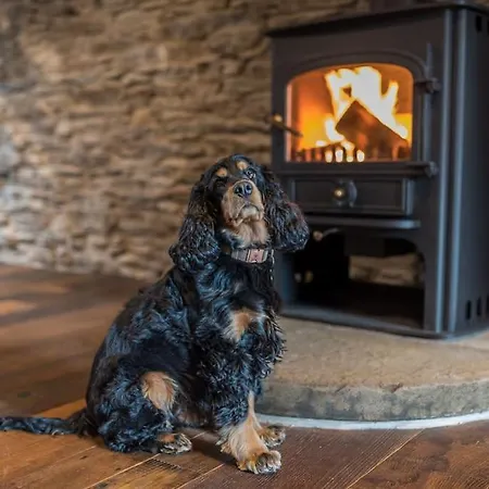 Quirky Retreats - The Barn 别墅 *